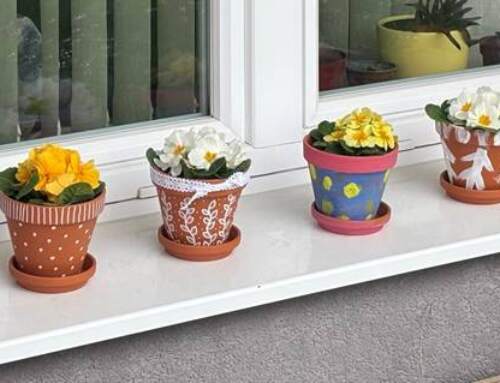 USTVARJALNO DOPOLDNE S ŠENT-OM