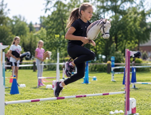 Hobby Horsing v Straži